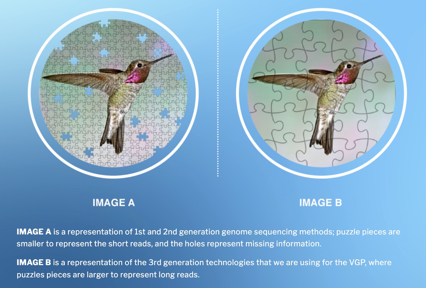 1687677035173281.jpg 2.jpg