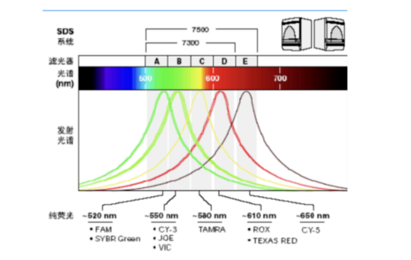 1688450666534360.jpg 1688450666534360.jpg