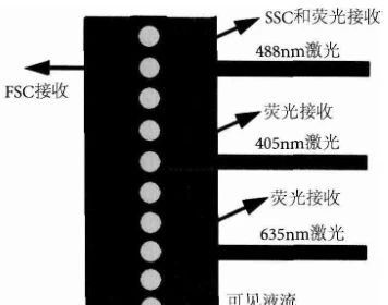 1690868373623976.jpeg 1690868373623976.jpeg