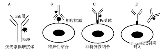 1690868544366780.jpeg 5.jpeg