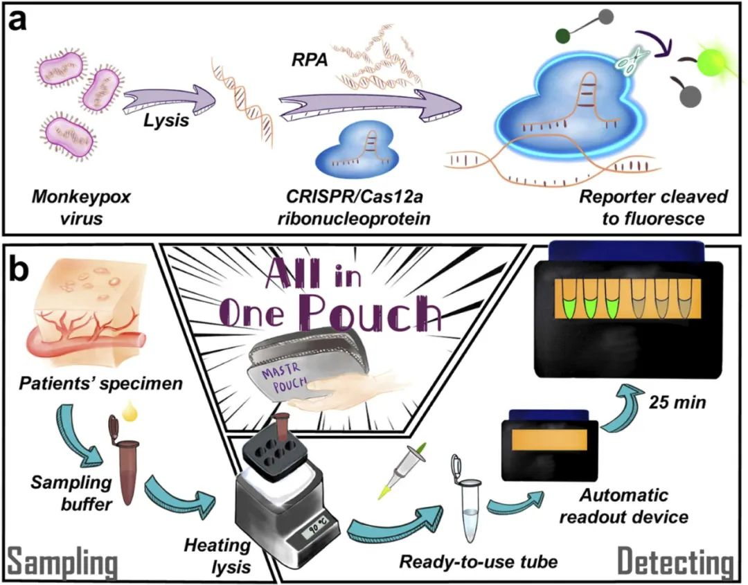 1692780285721571.png 1692780285721571.png