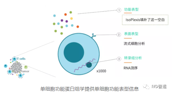 1693302145139387.png 4.png