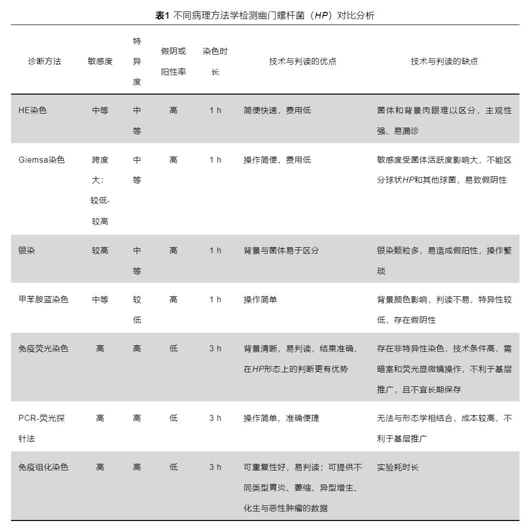 1695798079115184.png 9-28幽门螺旋杆菌.png