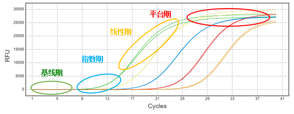 1699859946980895.png Q.png