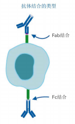 1699927490170533.png 7.png