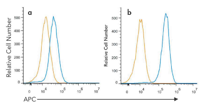 1699927515769464.png 8.png