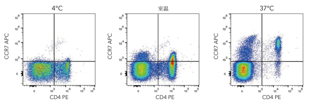 1699927608795595.png 9.png