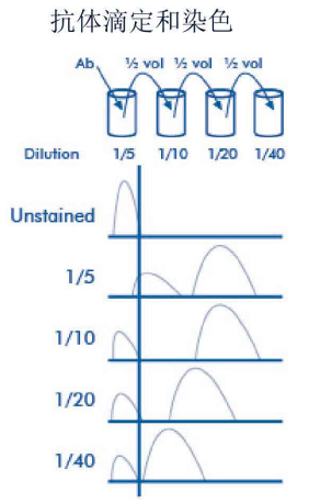 1699927653481952.png 11.png