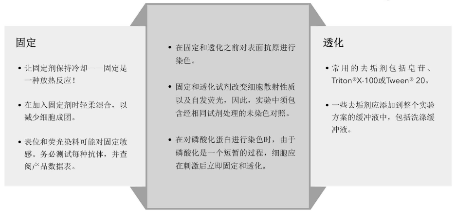 1699927667370238.png 12.png