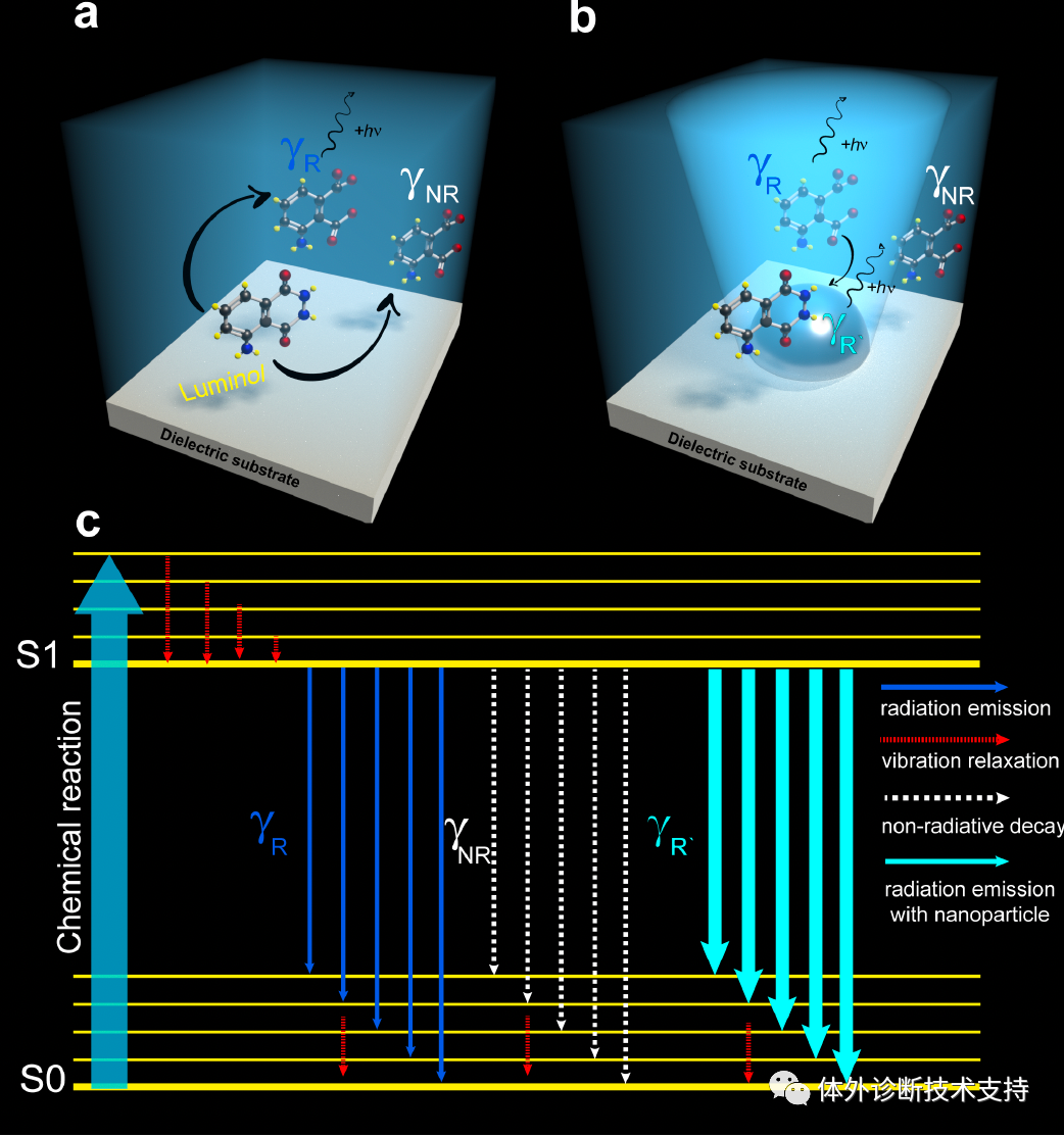 1703732631241661.png 1.png