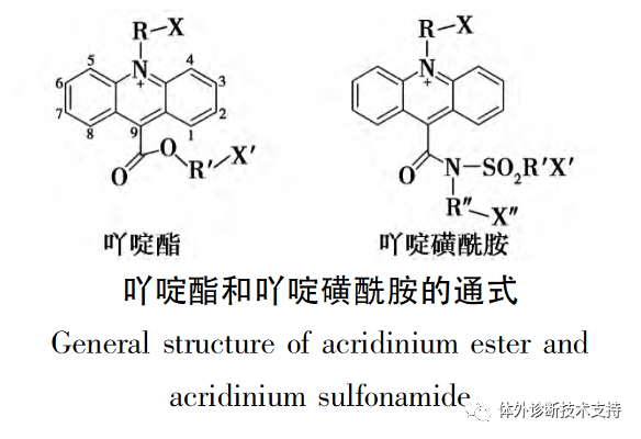 1703732777163009.png 7.png