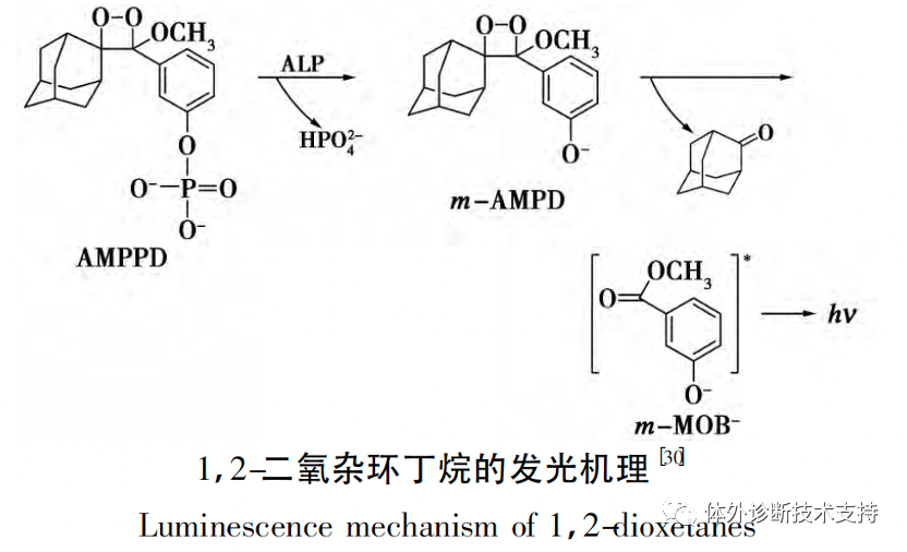 1703733276974156.png 15.png