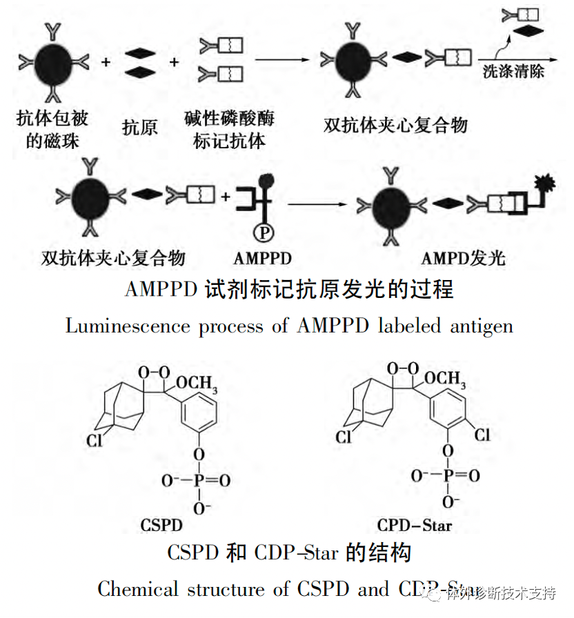 1703733300189831.png 16.png