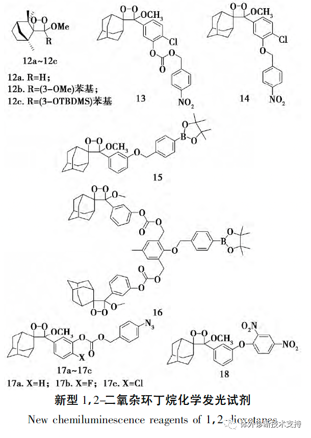 1703733313873008.png 17.png