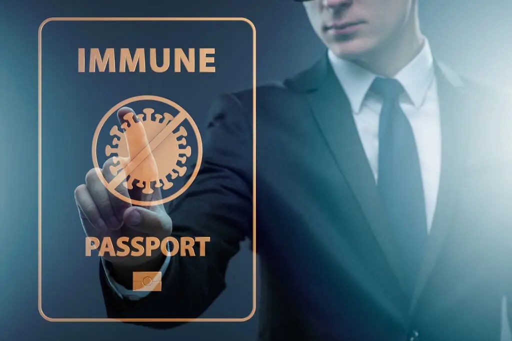 1703733441363563.png 18.png