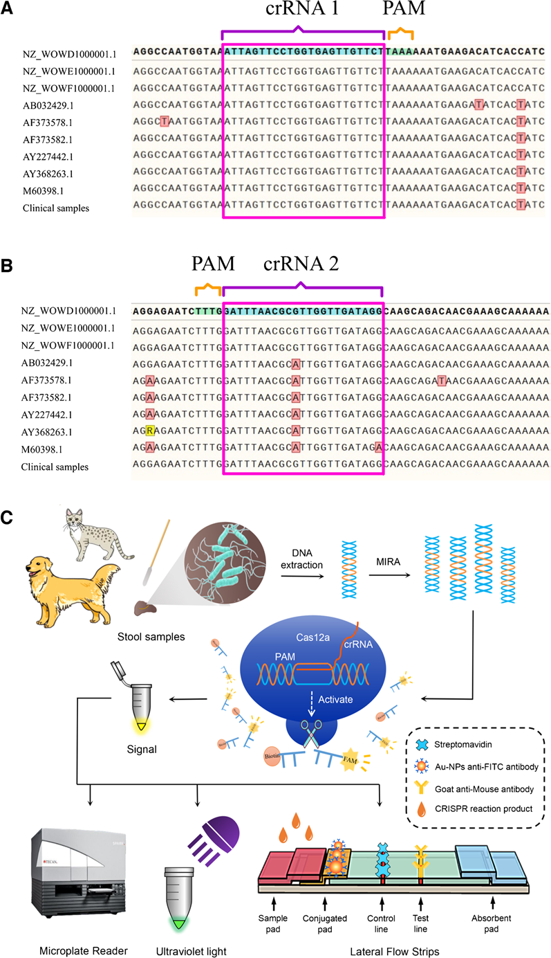 1709110695456357.png 2.png