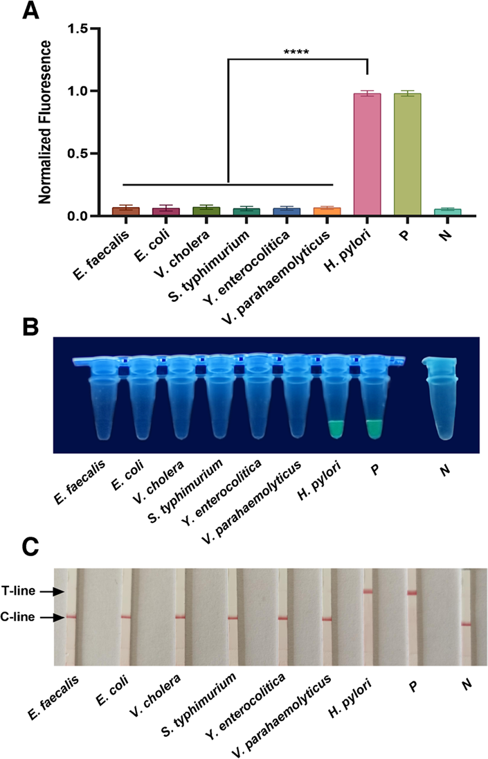 1709110706171866.png 3.png