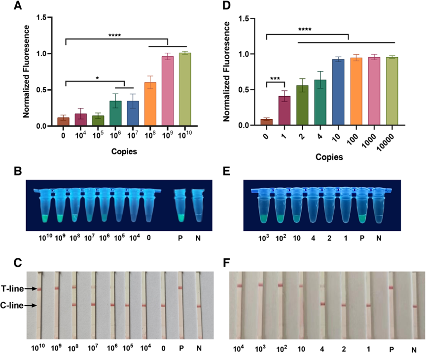 1709110720460863.png 4.png