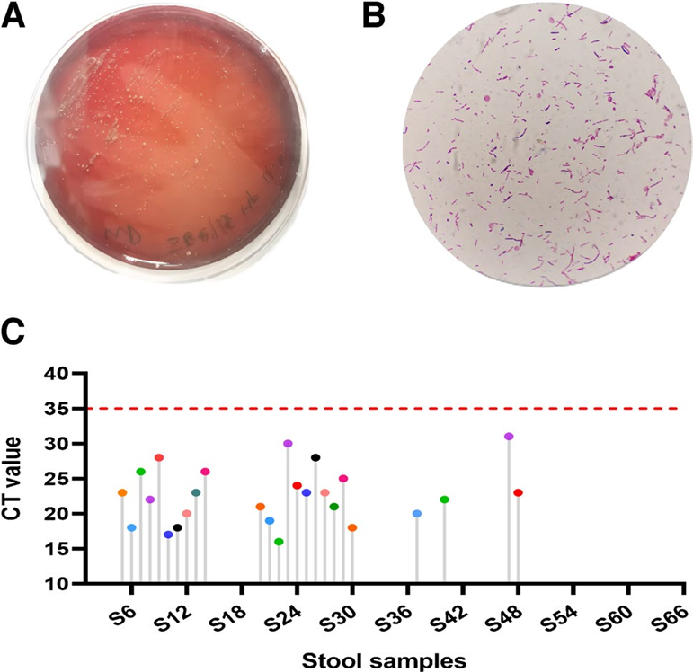 1709110787762136.png 5.png