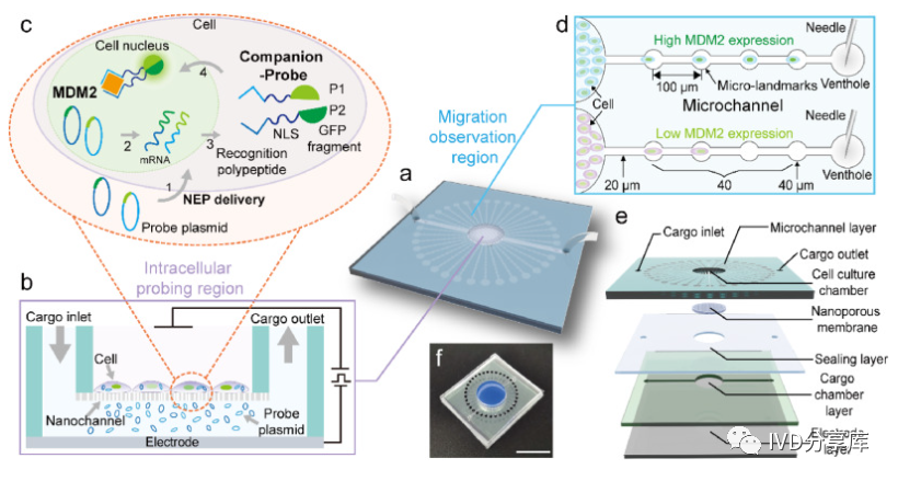 1710835040775206.png 1.png