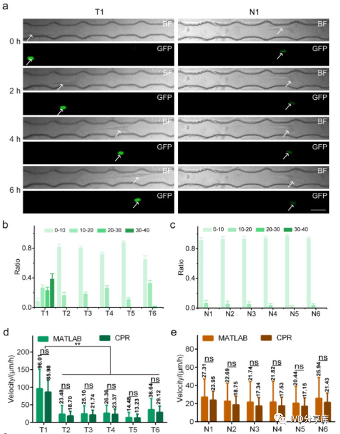 1710835061520885.png 3.png