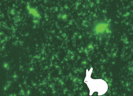 1711436562991252.png 2.png