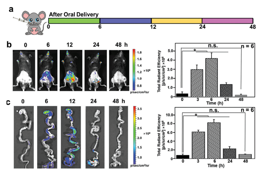 1713948811493387.png 4.png