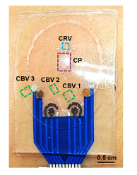 1715330358946781.png 1715330358946781.png