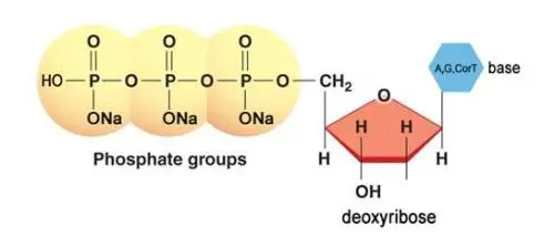 1716195731566440.jpg 2.jpg