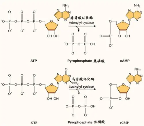 1716195756770903.jpg 4.jpg