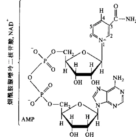 1716196564824300.jpg 6.jpg