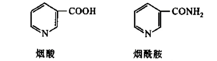 1716196591187814.jpg 8.jpg