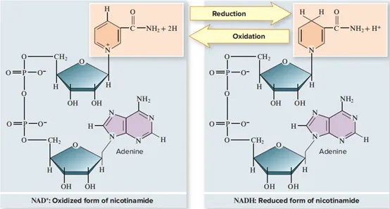 1716196600486079.jpg 9.jpg