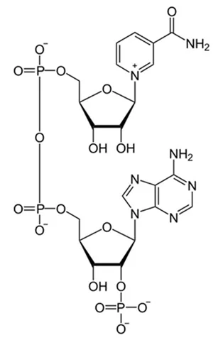 1716196609757808.jpg 10.jpg