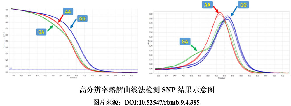 1717140253694283.png 6.png