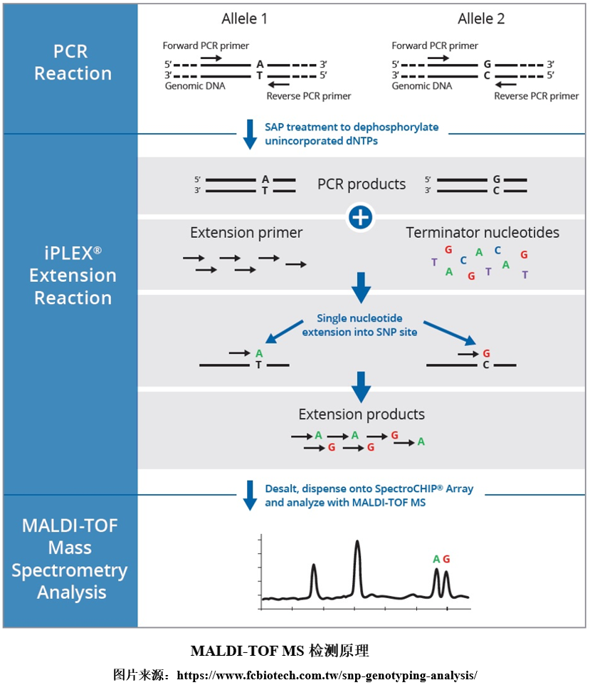 1717140329884728.png 11.png