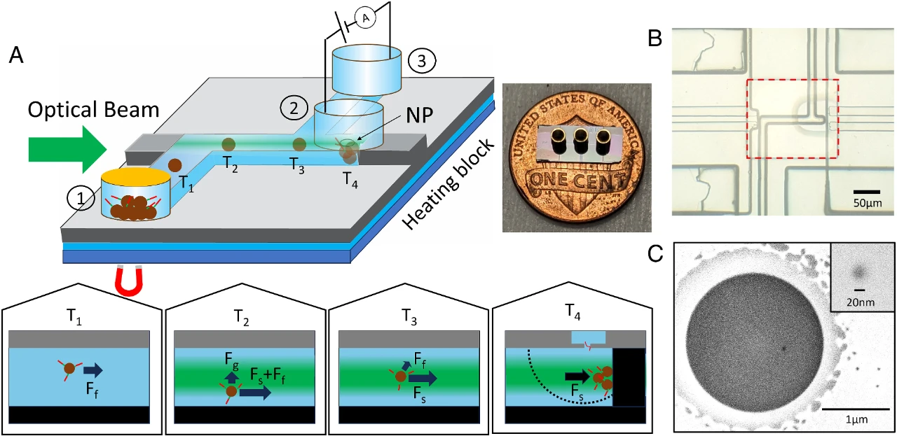 1717750501778337.jpg 2.jpg