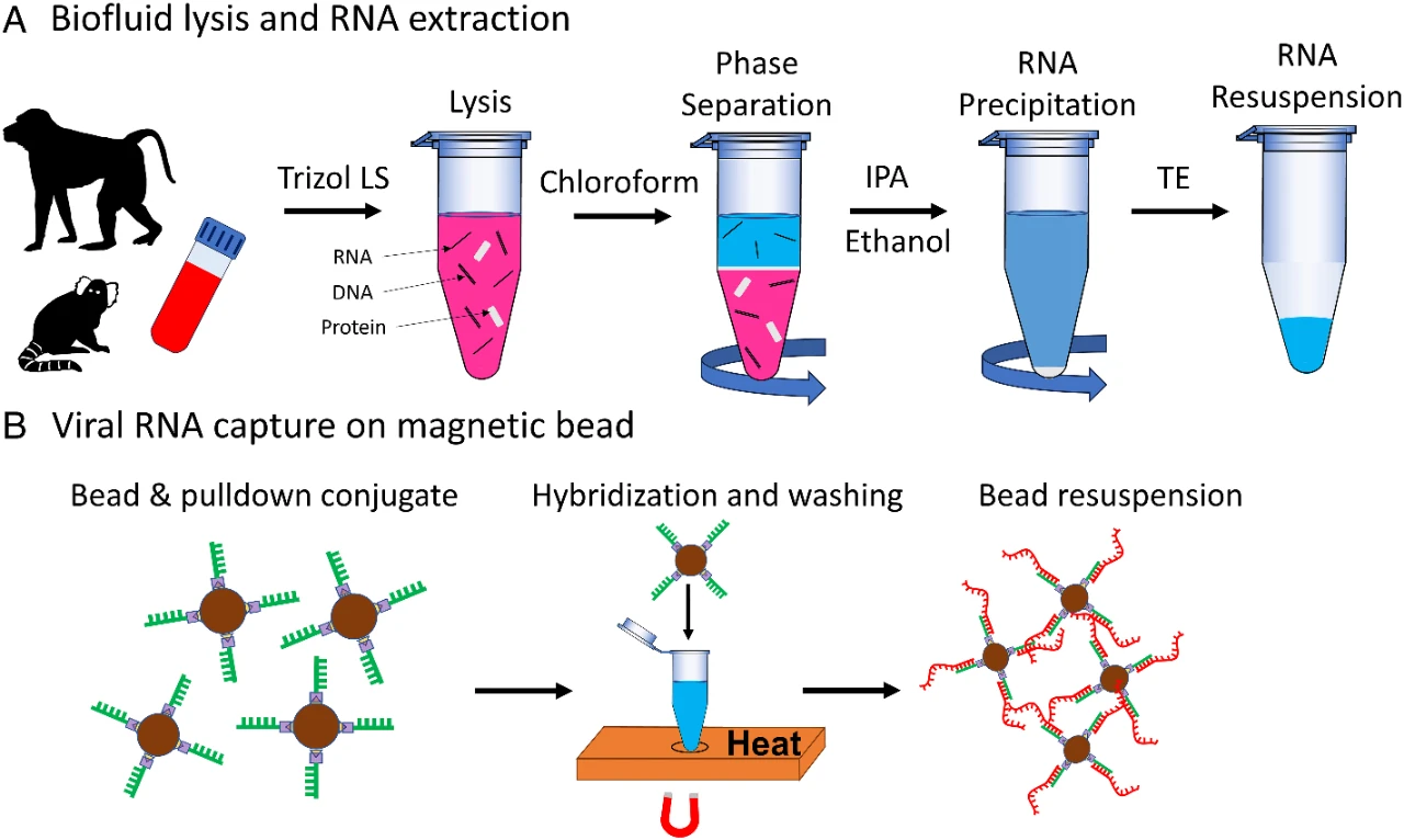 1717750510609248.jpg 3.jpg