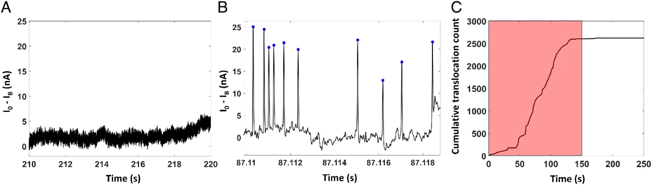 1717750518697257.jpg 4.jpg