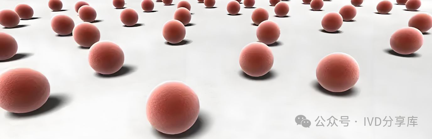 1717750648616817.png 1.png