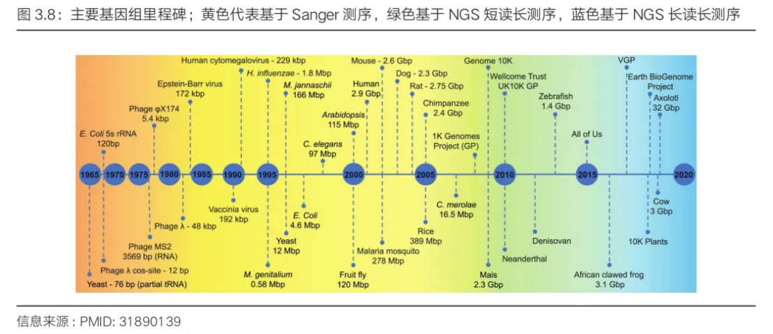 1721889587356815.jpg 5.jpg