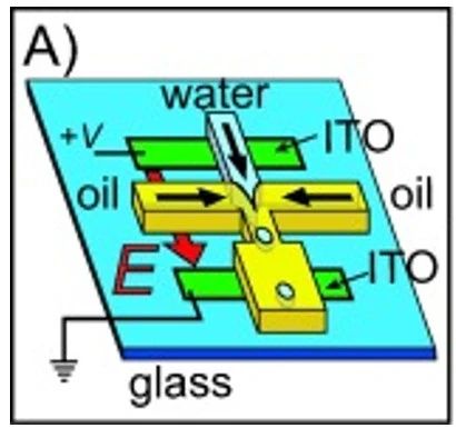 1721891477684477.jpeg 1721891477684477.jpeg