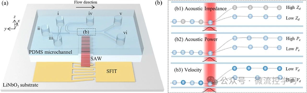 1721891537209552.jpeg 3.jpeg