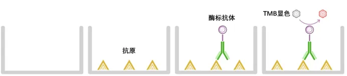 1729222687446680.jpeg 2.jpeg