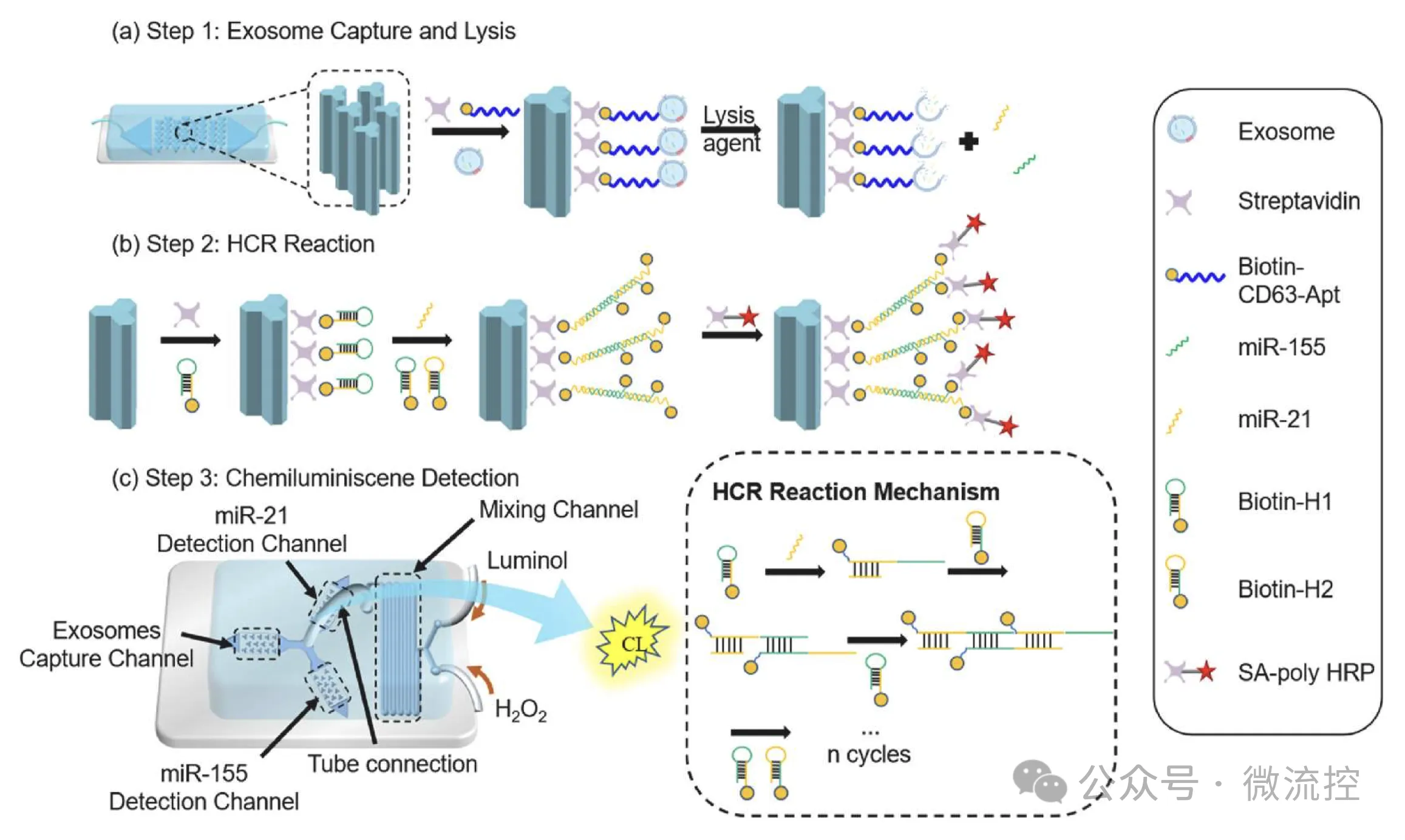 1729496043240727.jpeg 1.jpeg