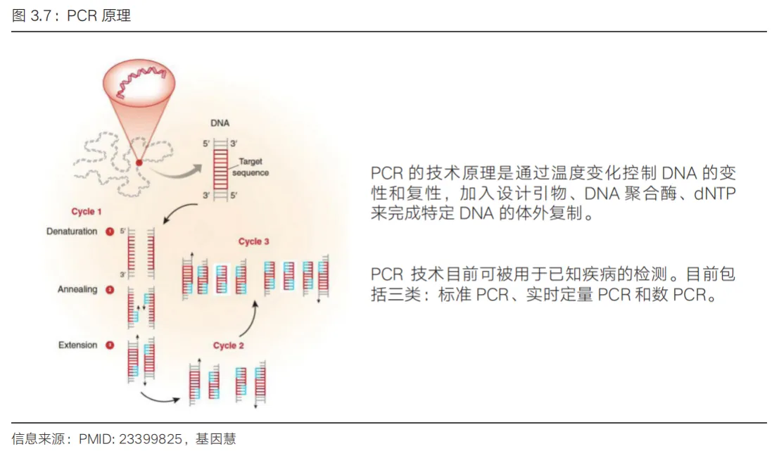 1736844416571019.jpg 3.jpg